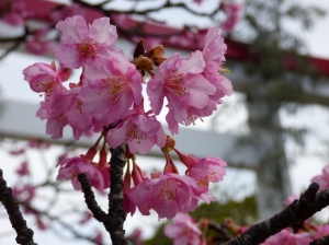 年末のご挨拶