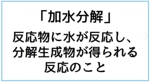 運動靴とは？